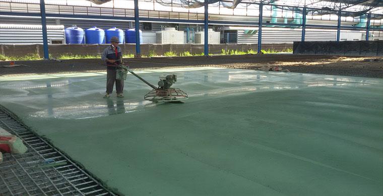 Thi công Sika Chapdur Green trên bê tông tươi