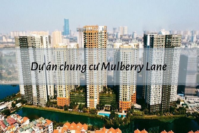 Xem Ảnh Lớn