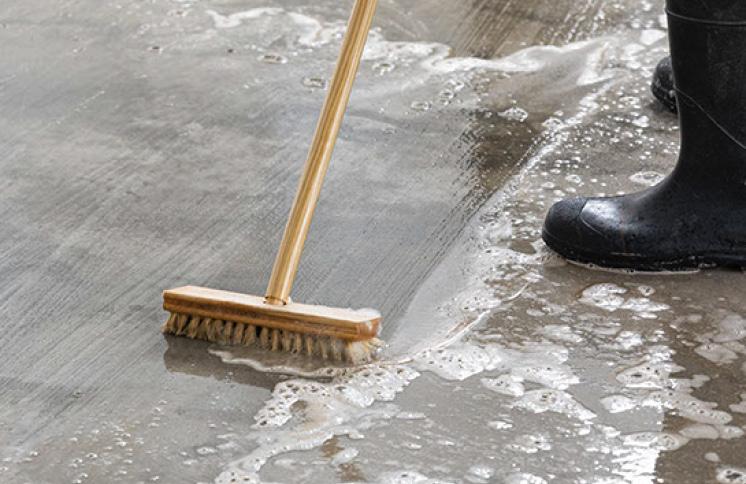 10 Sai Lầm Khi Chống Thấm Nhà Vệ Sinh Cần Tránh